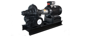 Horizontal Split Case Pump